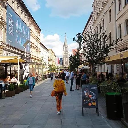 Ekskluzywne Mieszkanie W Centrum