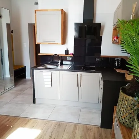 Apartment Ekskluzywne Mieszkanie W Centrum Katowice