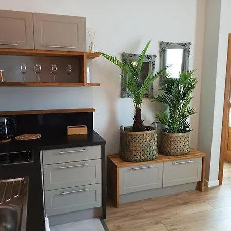 Ekskluzywne Mieszkanie W Centrum Katowice