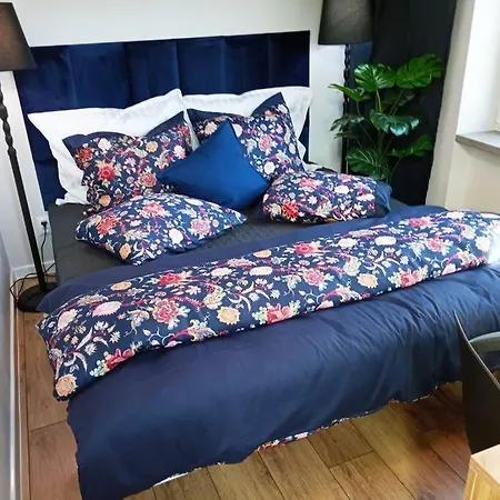 Ekskluzywne Mieszkanie W Centrum Apartment