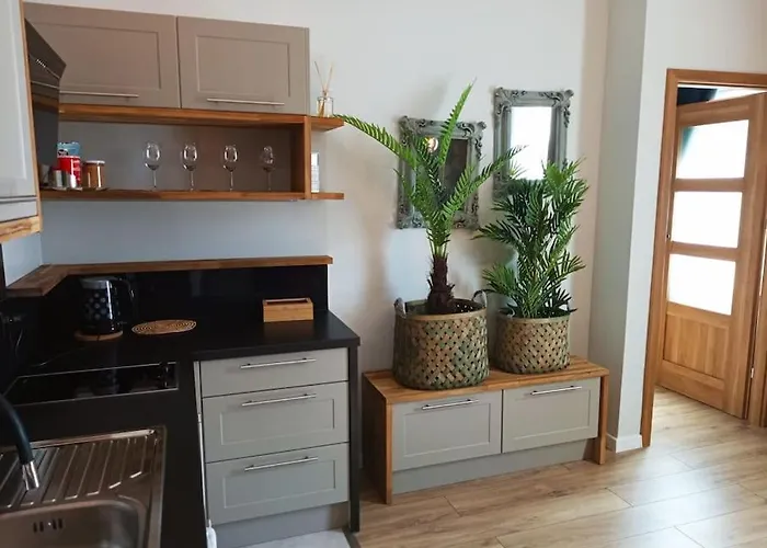 Ekskluzywne Mieszkanie W Centrum Katowice