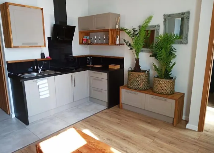 Apartamento Ekskluzywne Mieszkanie W Centrum Katowice